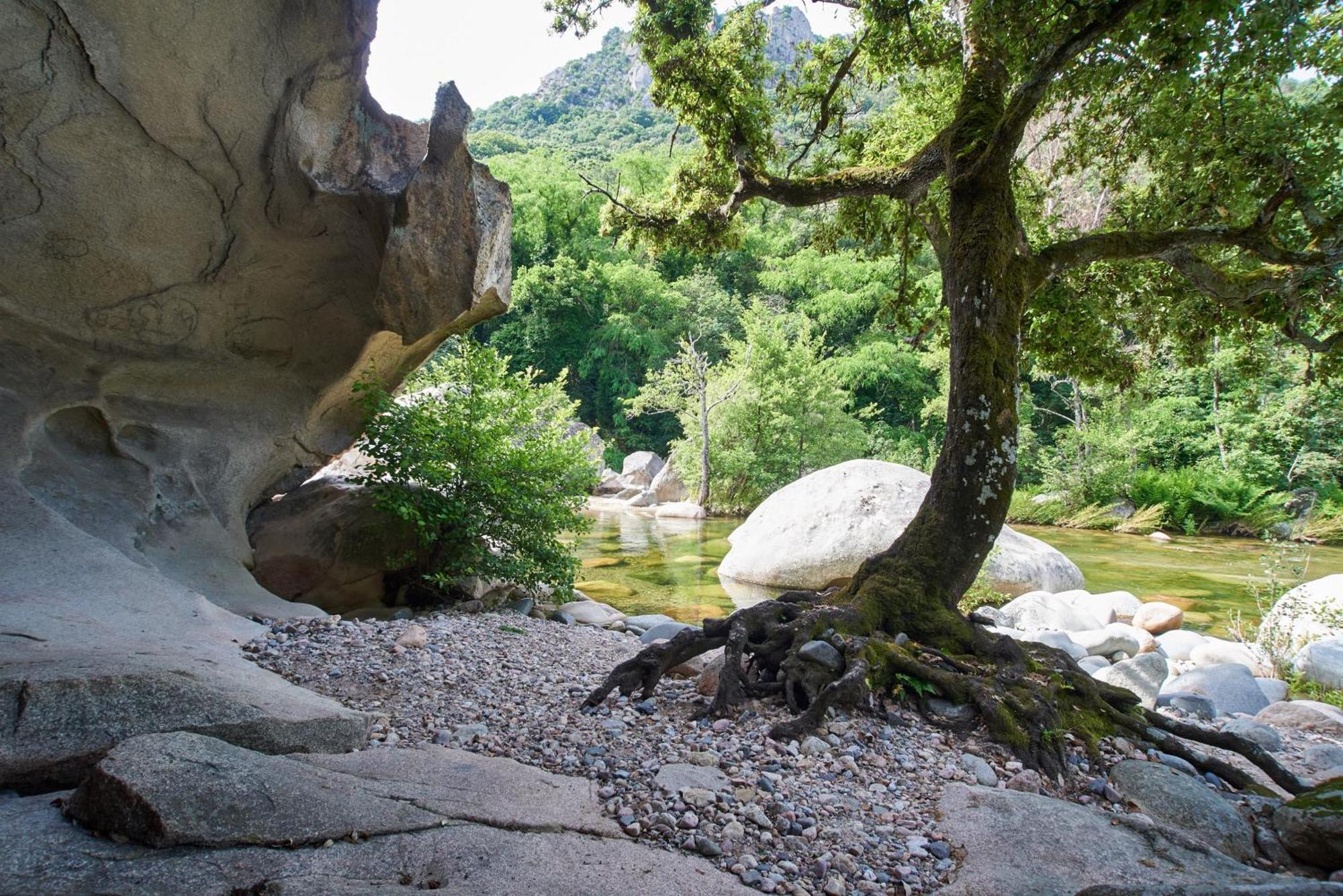 Camping Les Oliviers Porto  外观 照片